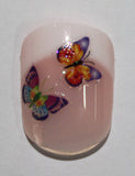 Signature Collection - Butterfly