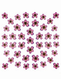Dry Flower Design - Purple